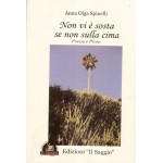 Non vi è sosta se non sulla cima – poesia e prosa